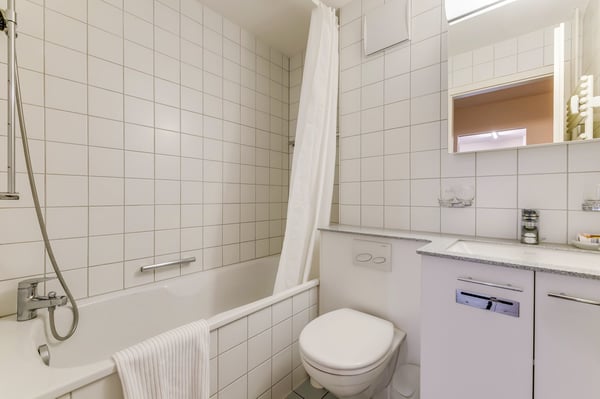 Spacious three Room near Spalentor 9