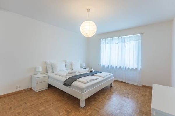 Spacious three Room near Spalentor 20