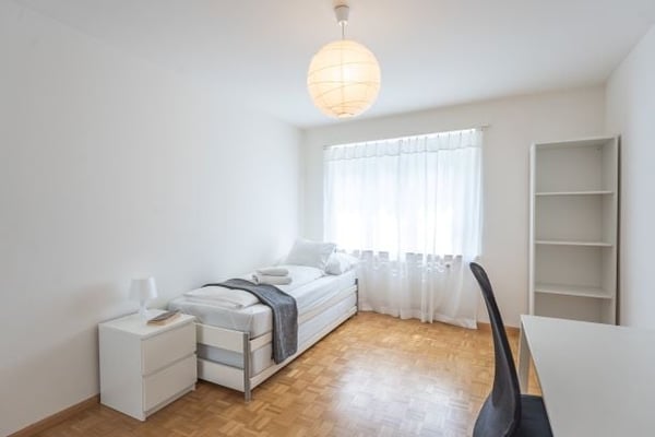 Spacious three Room near Spalentor 21