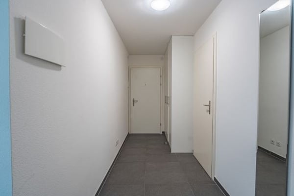 Spacious three Room near Spalentor 24