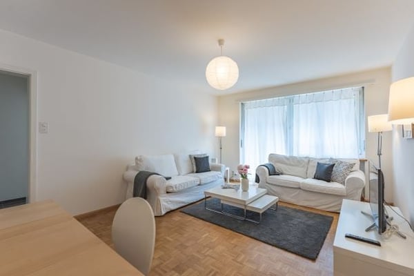 Spacious three Room near Spalentor 14