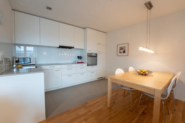 Light modern apartment with own washer/dryer and parking 9