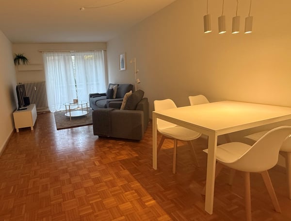 Charming 3-Room Furnished Apartment Near Basel University 2