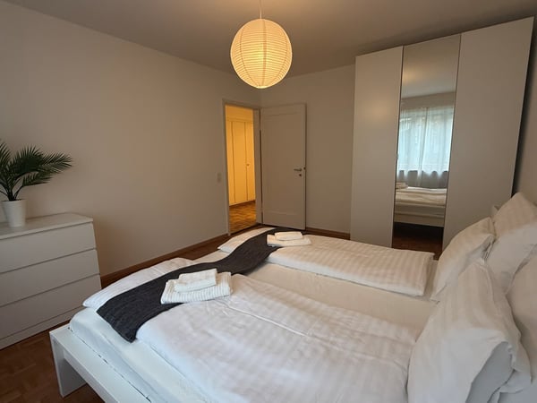 Charming 3-Room Furnished Apartment Near Basel University 6