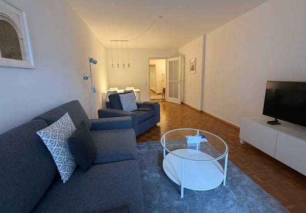 Charming 3-Room Furnished Apartment Near Basel University 1