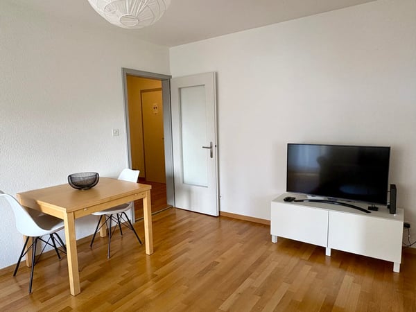 Lovely 2 room apartment with balcony 3