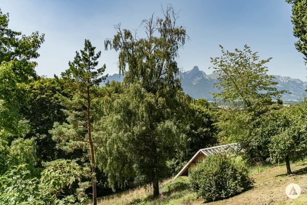 Bauland mit Gestaltungsspielraum 5