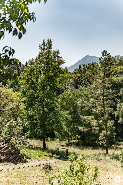 Bauland mit Gestaltungsspielraum 8