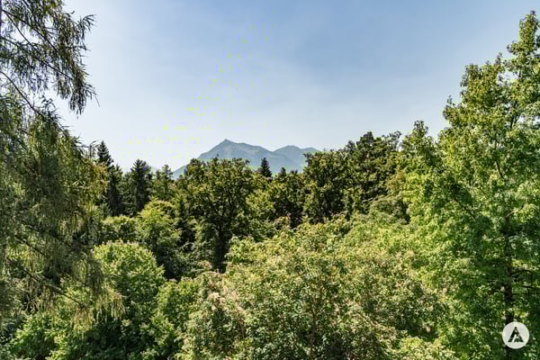 Bauland mit Gestaltungsspielraum 7