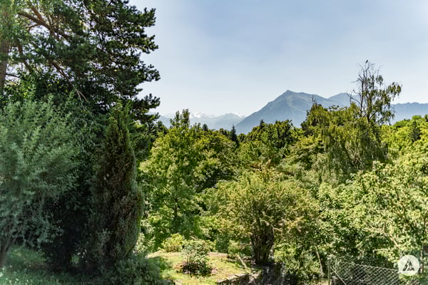 Bauland mit Gestaltungsspielraum 9