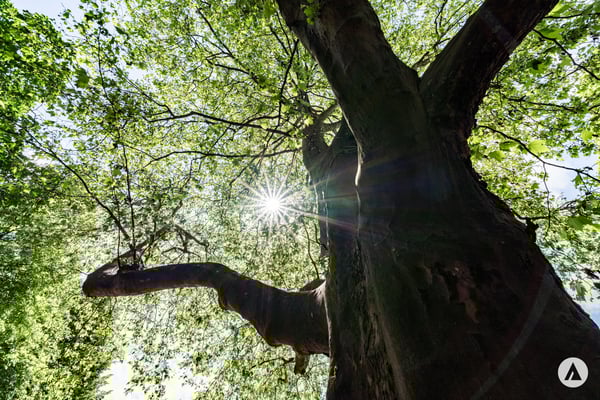 Neubauprojekt Terra: 1½/3½-Zimmerwohnung im 2. OG 10