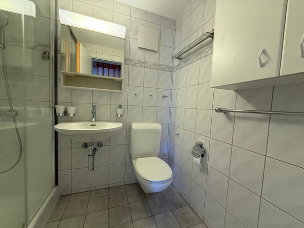 Helle und grosszügige 4.5-Zimmer-Galeriewohnung mit Balkon und Wintergarten 6