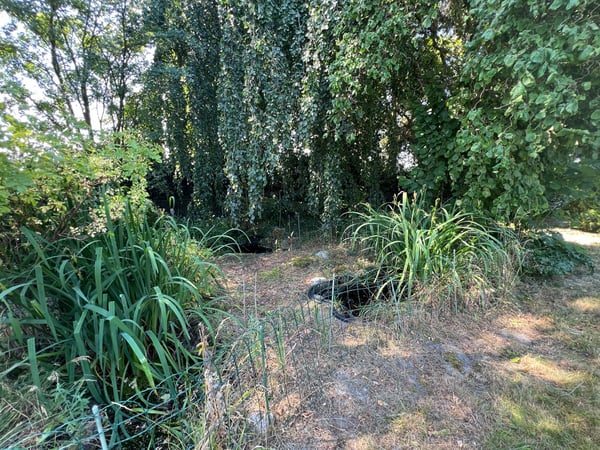 5.5-Zimmer-EFH mit 2000 m² Grundstück - eine Seltenheit in Täuffelen 24
