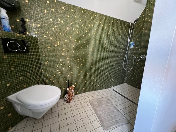 5.5-Zimmer-EFH mit 2000 m² Grundstück - eine Seltenheit in Täuffelen 10