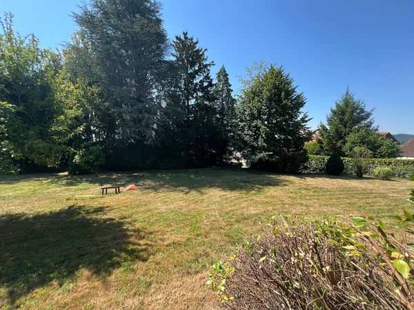 5.5-Zimmer-EFH mit 2000 m² Grundstück - eine Seltenheit in Täuffelen 23