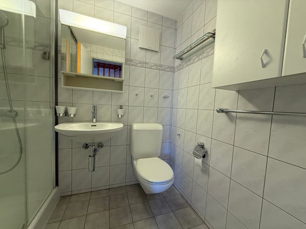 Helle und grosszügige 4.5-Zimmer-Galeriewohnung mit Balkon und Wintergarten 5