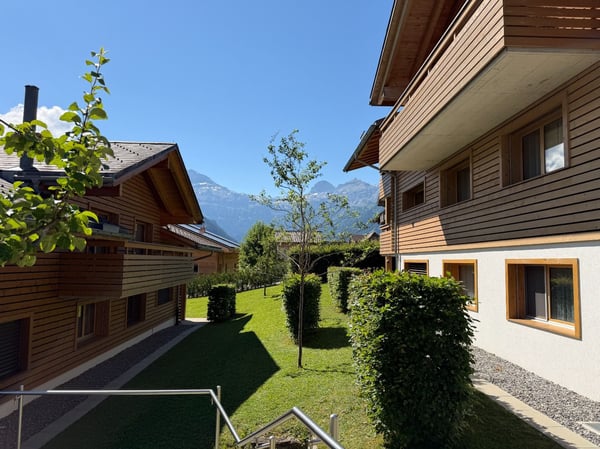 Lenk