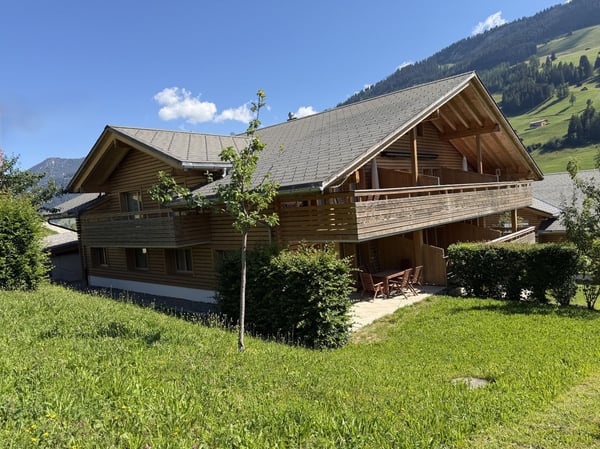 Lenk