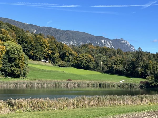 Einfamilienhaus an bester Lage - die Gelegenheit für eine kleine Familie 12