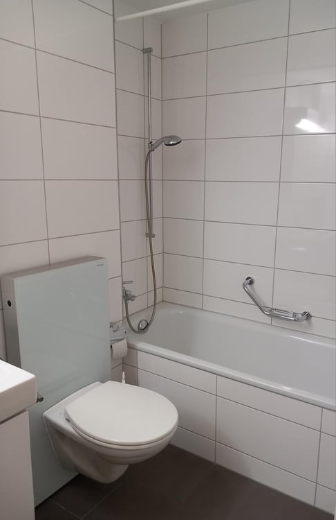 Ruhige 1.5-Zimmer-Wohnung mit Balkon ins Grüne 4