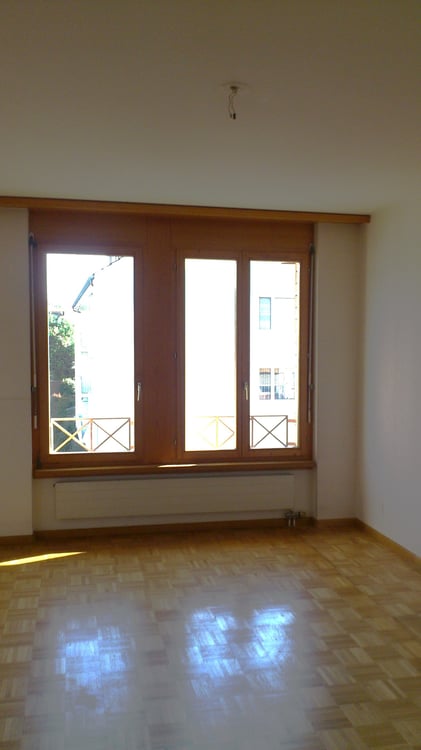 Ruhige 1.5-Zimmer-Wohnung mit Balkon ins Grüne 6