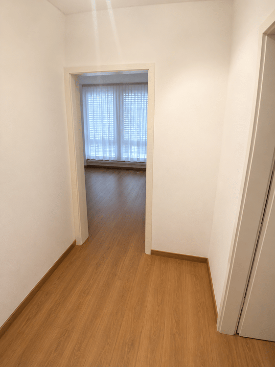 1-Zimmerwohnung an guter Lage nähe Bahnhof SBB mit Balkon 2