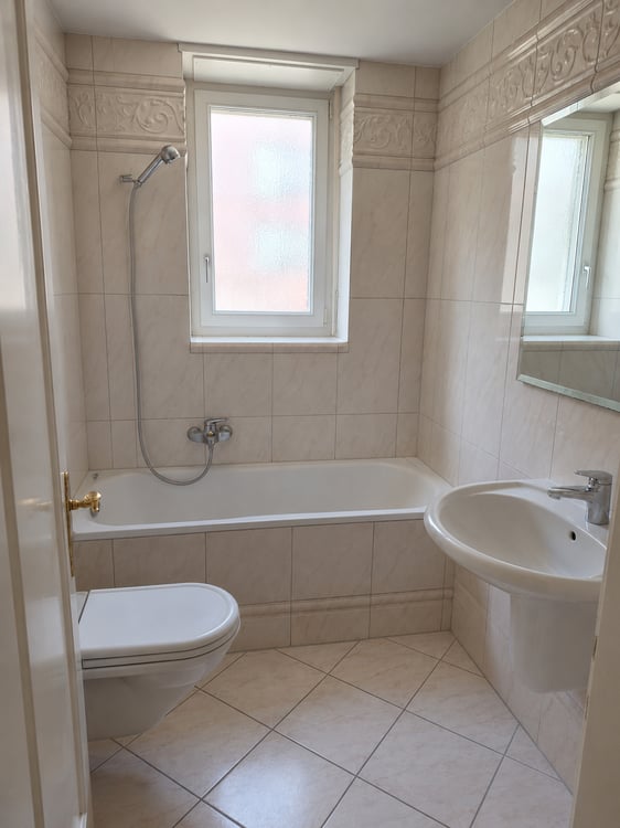 Charmante 2-Zimmer-Wohnung mit Balkon in Basel 3