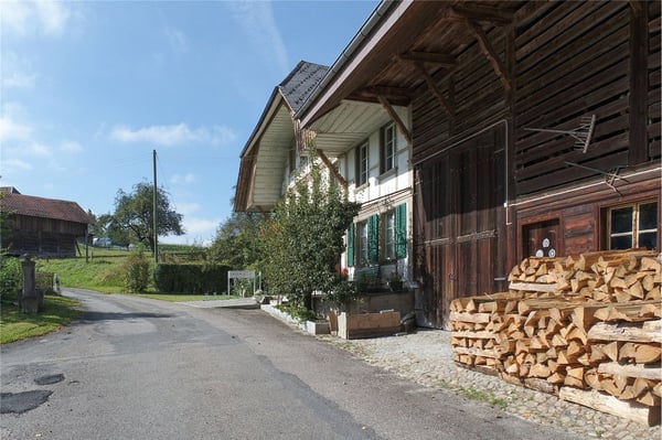 Stattliches Bauernhaus - 3 Wohnungen, grosser Oekonomieteil; Baulandreserve. 13
