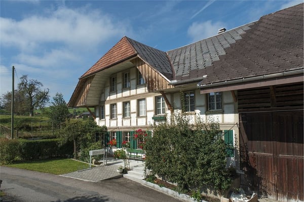 Stattliches Bauernhaus - 3 Wohnungen, grosser Oekonomieteil; Baulandreserve. 1