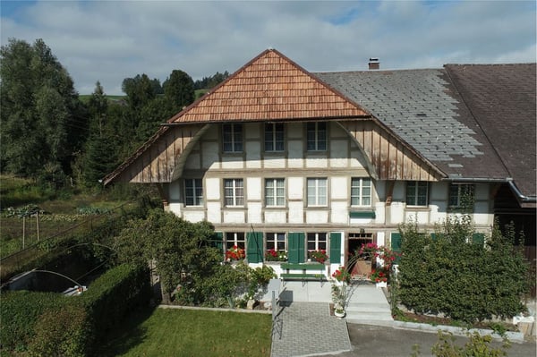 Stattliches Bauernhaus - 3 Wohnungen, grosser Oekonomieteil; Baulandreserve. 12