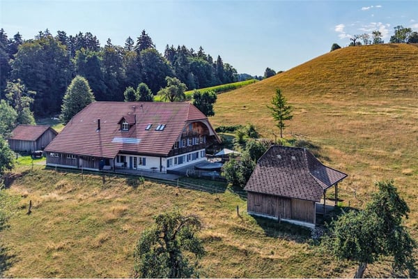 2001 massiv erbautes Bauernhaus mit 3 Wohnungen und erhaltenem Speicher. 2