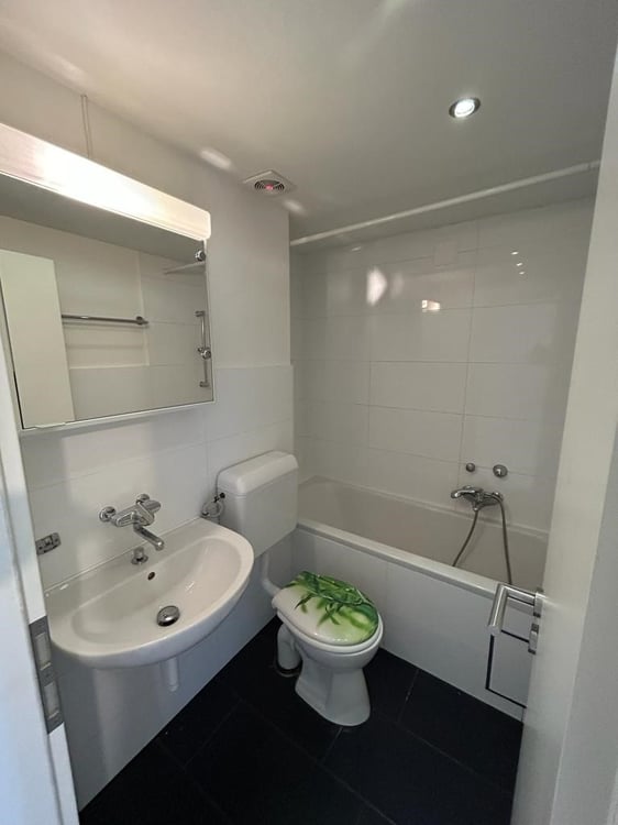 Helle 2.5-Zimmer-Wohnung an der Dornacherstrasse in Basel 9