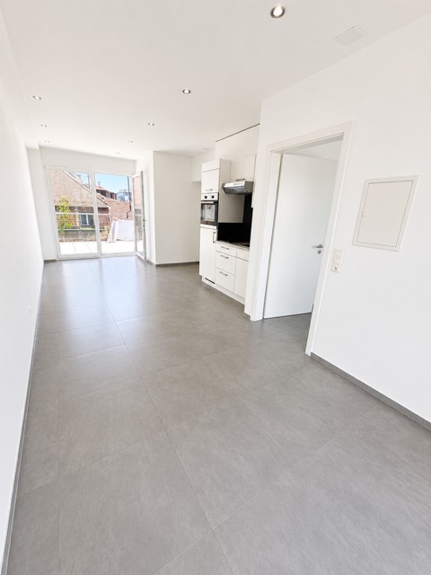 Moderne 1-Zimmer-Dachwohnung mit Balkon und Aussicht in Basel 4