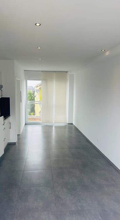 Moderne 1-Zimmer-Dachwohnung mit Balkon und Aussicht in Basel 3