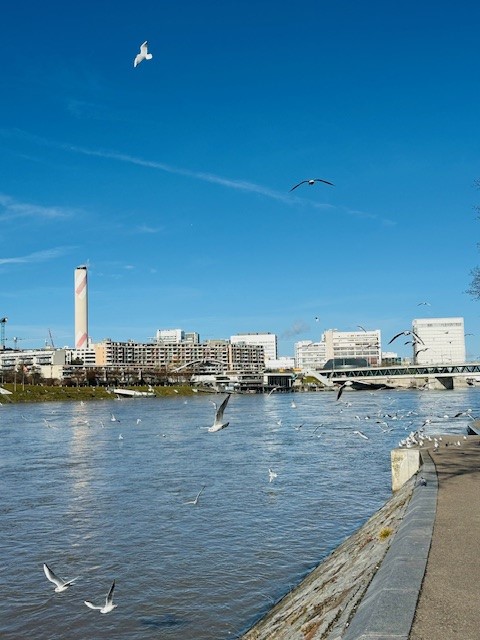 Gemütliche, charmante 2.5-Zimmer-Wohnung im Herzen von Basel Nähe Rhein 20