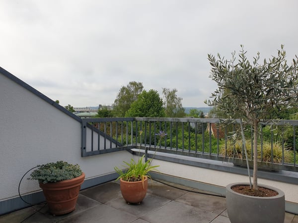 Ruhige Wohn-Oase für Ihre Familie im bevorzugten Hofmattquartier 16