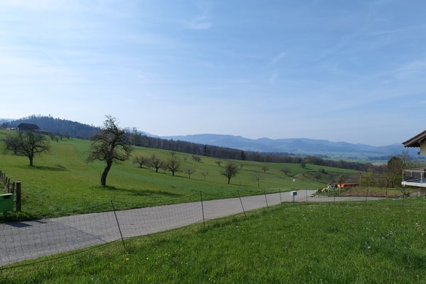 Wohnen an schöner Aussichtslage in Himmelried 5