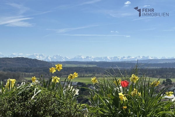 Fehr Immobilien - 4½-Zi.-Terrassenappartement mit herrlicher Aussicht 2