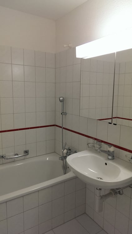 Neu renovierte 1-Zimmer-Terrassenwohnung mit herrlicher Aussicht in Oensingen 4