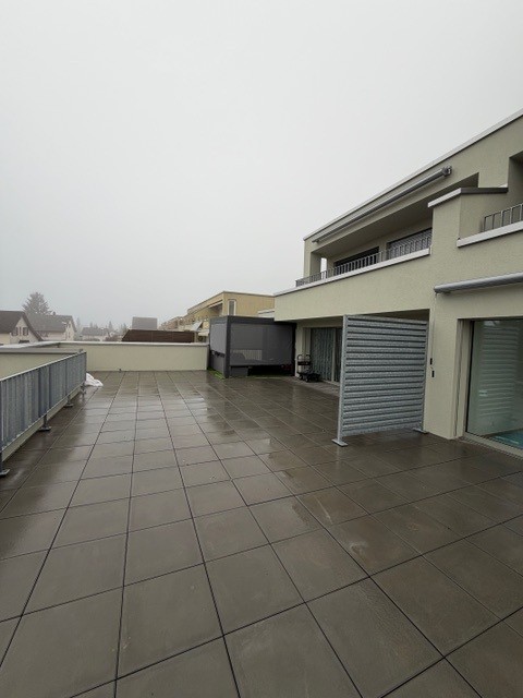 Neu renovierte 1-Zimmer-Terrassenwohnung mit herrlicher Aussicht in Oensingen 5