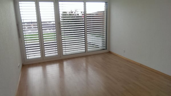 Neu renovierte 1-Zimmer-Terrassenwohnung mit herrlicher Aussicht in Oensingen 3