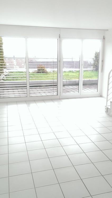 Neu renovierte 1-Zimmer-Terrassenwohnung mit herrlicher Aussicht in Oensingen 2