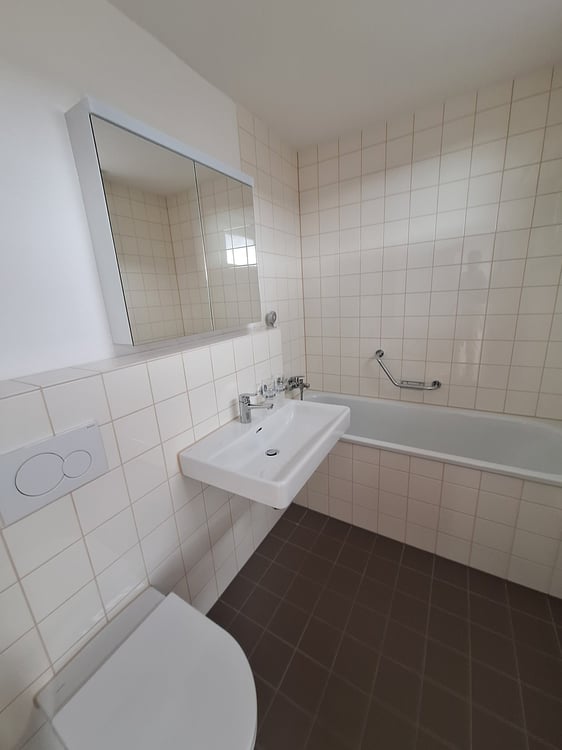 neu renovierte 3.5-Zimmer-Attika-Wohnung 6