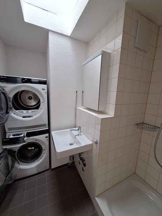 neu renovierte 3.5-Zimmer-Attika-Wohnung 7
