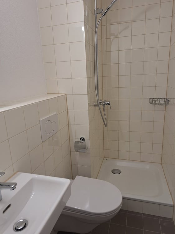 neu renovierte 3.5-Zimmer-Attika-Wohnung 5