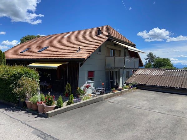 Grosszügige 6.5-Zimmer-Wohnung mit grosser Terrasse und Garten 12