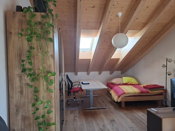 neue Dach-Loftwohnung 15