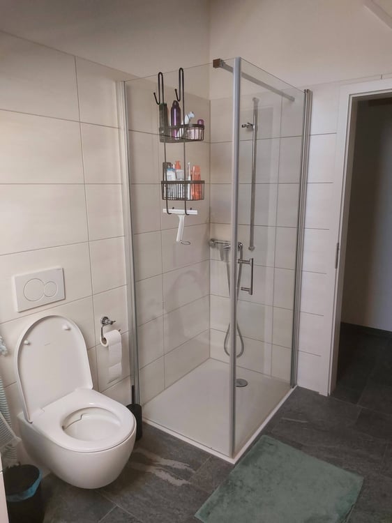 neue Dach-Loftwohnung 2.5 Zimmer 18