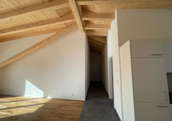 neue Dach-Loftwohnung 2.5 Zimmer 11
