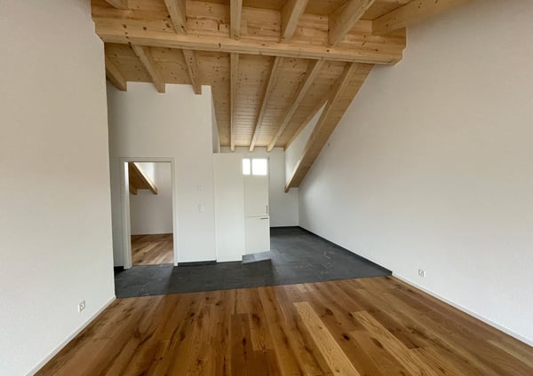 neue Dach-Loftwohnung 2.5 Zimmer 4